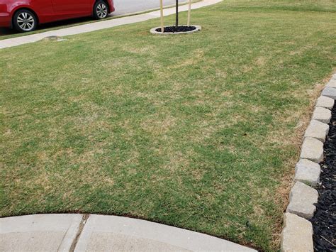 Yellow spots in lawn after fertilizing | Lawn Care Forum