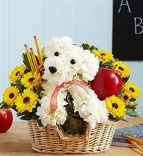 17 Beautiful Flower Arrangements For Dog Lovers