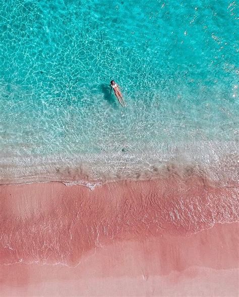 Explore the Pink Beach in Flores Island, Indonesia