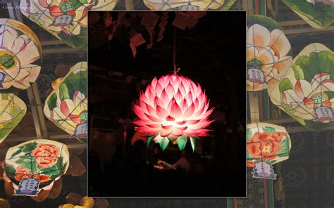 Hanji Happenings: Lotus symbol in Korean culture .....