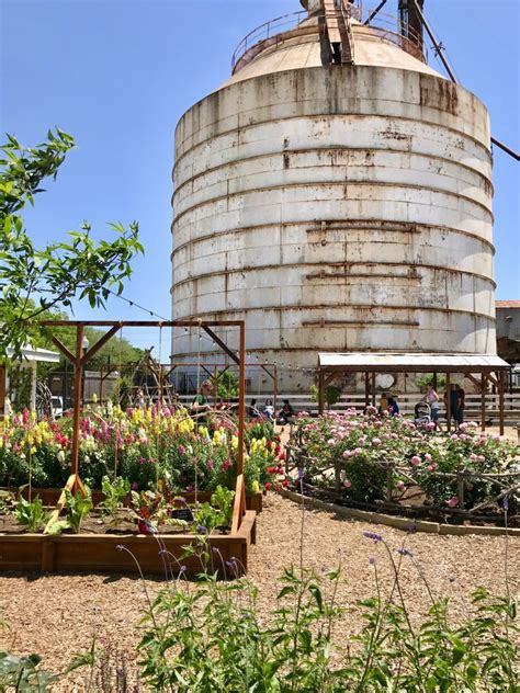 My Tips For Visiting the Magnolia Silos in Waco | Bless This Nest