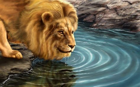 3D Lion Wallpapers - Top Free 3D Lion Backgrounds - WallpaperAccess