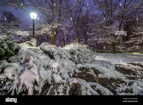 Central Park in winter Stock Photo - Alamy