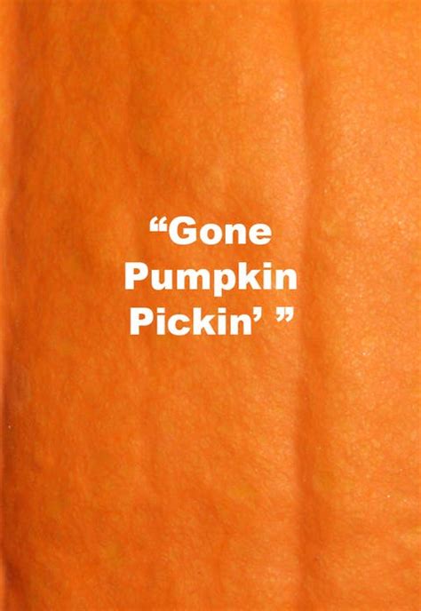 55 Best Pumpkin Quotes and Puns - Funny Sayings About Pumpkins for ...