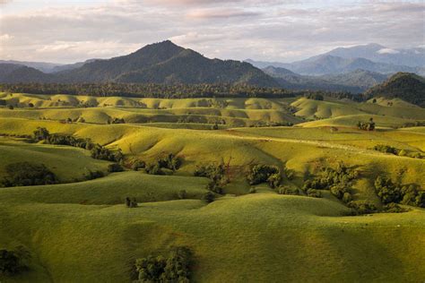 Great Reasons To Visit The Atherton Tablelands | Cairns & Great Barrier Reef