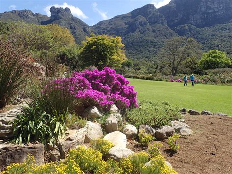 Kirstenbosch Gardens Restaurant Menu | Fasci Garden