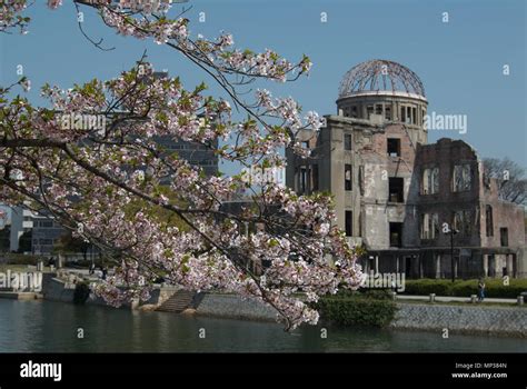 Hiroshima Peace Memorial with cherry blossom, Hiroshima, Japan Stock Photo - Alamy