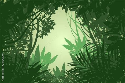 Beautiful view rain forest scene vector wallpaper nature background ...