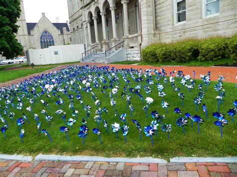 Let Your Light Shine: The Pinwheel Garden