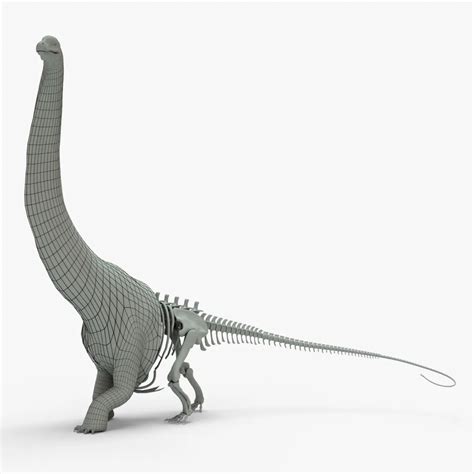 Argentinosaurus 3D Model Rigged Basemesh Skeleton | Creature Guard