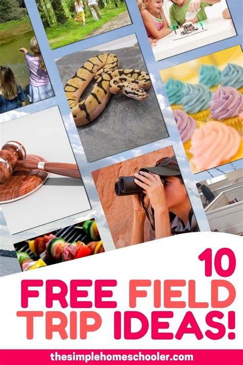 10 Free Field Trip Ideas! | Field trip, Homeschool activities, Field trip planning