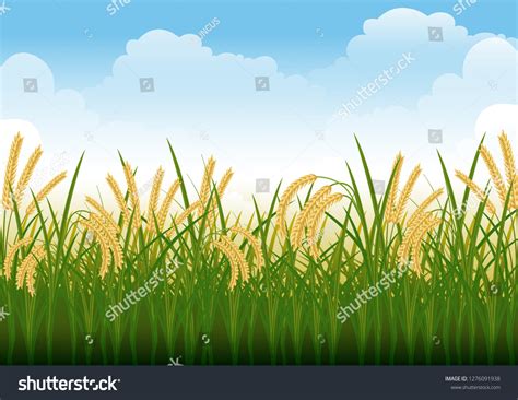 3,999 Paddy Field Stock Vectors, Images & Vector Art | Shutterstock