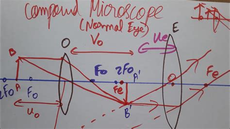 compound microscope magnification formula - YouTube