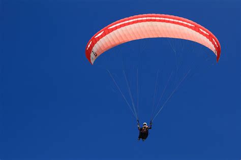 Paragliding Free Stock Photo - Public Domain Pictures