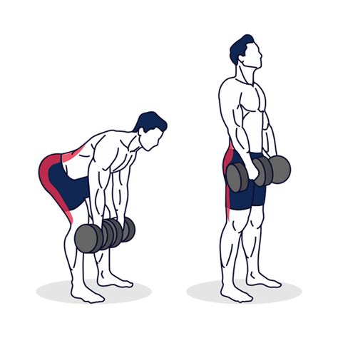 How to do Dumbbell Stiff-Leg Deadlift with Proper Form? – Simply Fitness