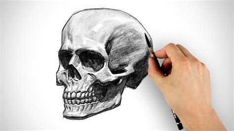 How To Draw Skulls Youtube - Documentride5