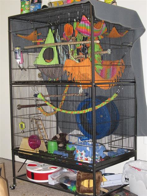 GliderGossip - Is this a good sugar glider cage?