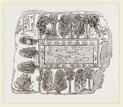 Ancient Egyptian Ornamental Garden Drawing by Litz Collection - Fine ...