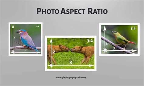 Aspect Ratio- Which is Best For Your Images? - PhotographyAxis