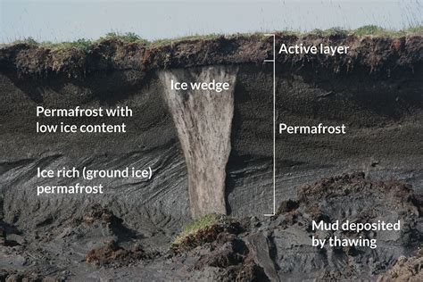 Canada's permafrost is turning to mud. Here's why | The Star