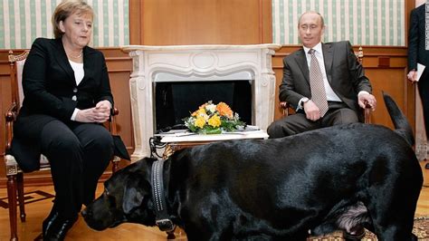 Putin: I didn't mean to scare Angela Merkel with dog - CNN