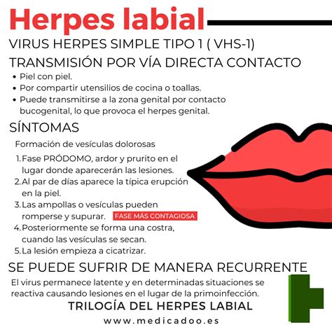 Por favor, mírame estos análisis... - Medicadoo Virus Del Herpes Simple, Herpes Genital, Word ...