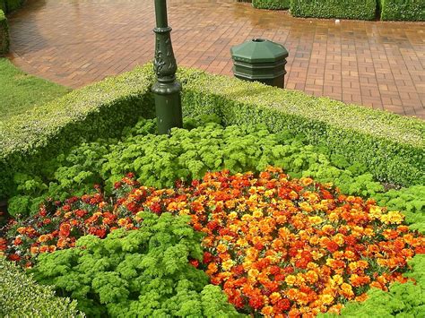 "Parsley Garden Dunedin Railway Station" by RossHeywood | Redbubble