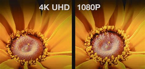 Diferencias Entre Full Hd Vs Uhd 4k Cual Es Mejor 2021 Images And Images