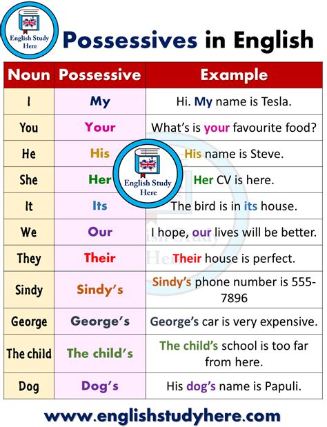 Forming the Possessives - Possessives in English - English Study Here