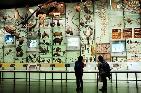 World’s Best Natural History Museums | History exhibition, Nature ...