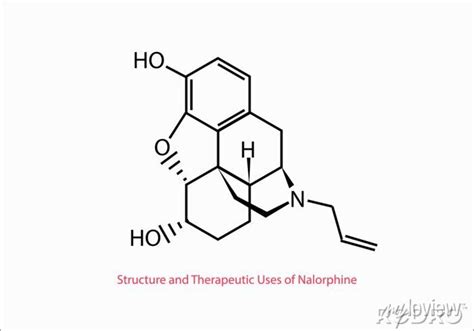 Structure and medicinal uses of nalorphine chemical structure posters ...