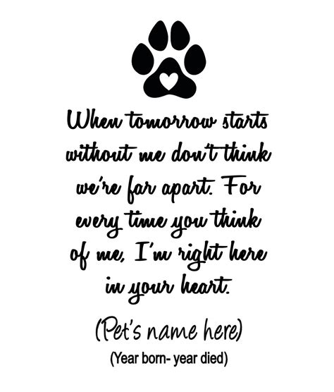 Where Do Dogs Go When They Die Rainbow Bridge