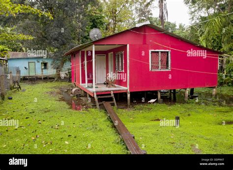 The modest pastel colored homes in Tortuguero, Costa Rica, Central America Stock Photo - Alamy