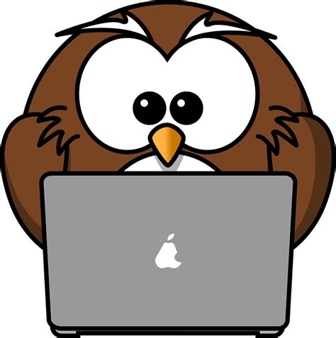 Free vector graphic: Owl, Animal, Bird, Computer, Funny - Free Image on Pixabay - 158414