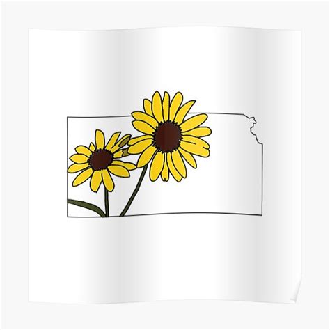 "Kansas State Flower" Poster by claireepete | Redbubble