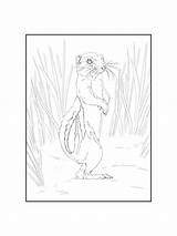 Gopher coloring pages sketch template