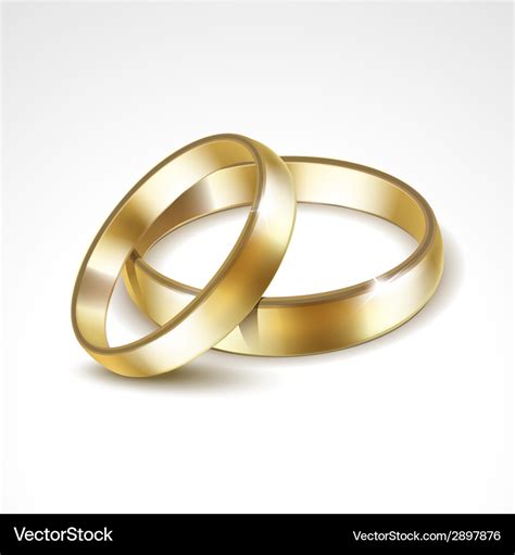 Gold wedding rings isolated Royalty Free Vector Image