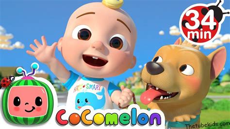 JJ Song More Nursery Rhymes & Kids Songs - CoComelon - 2024