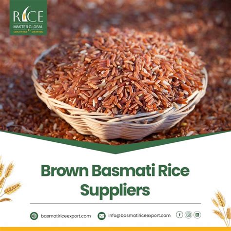 Basmati Rice Manufacturers in India | Rice Master Global