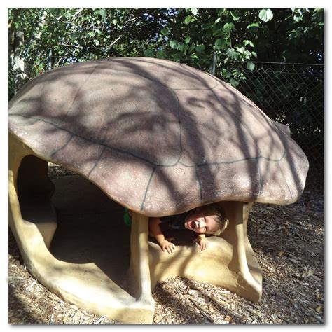 Turtle Shell Giant "Yurtle" Sculpture - Australia