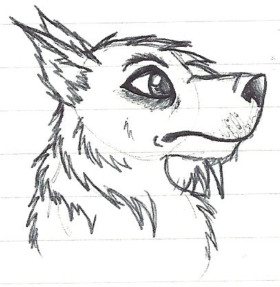 College doodle- Emo wolf? by dark-stitch on DeviantArt