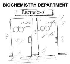 19 Biochemistry cartoons ideas | biochemistry, science humor, biology humor