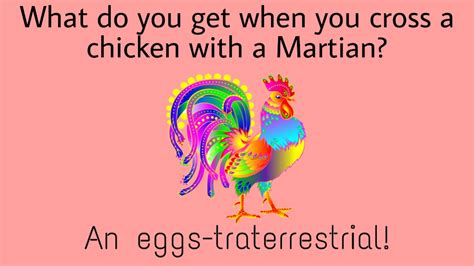 80+ Funny Chicken Puns I'm EGGcited To Share With You | Laughitloud