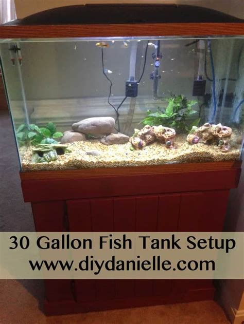 30 Gallon Fish Tank Setup - DIY Danielle