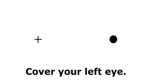 anything Political Intuition blind spot in eye Movement cache appear