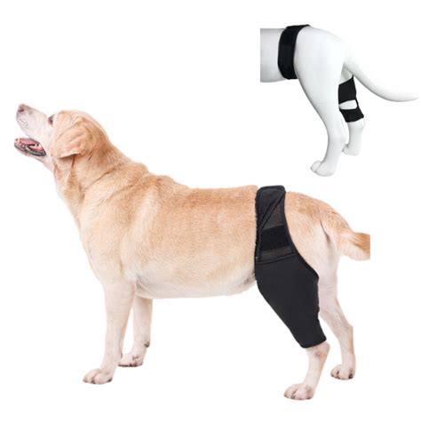 Best Dog Knee & Leg Brace For Torn ACL For Sale | LOVEPLUSPET