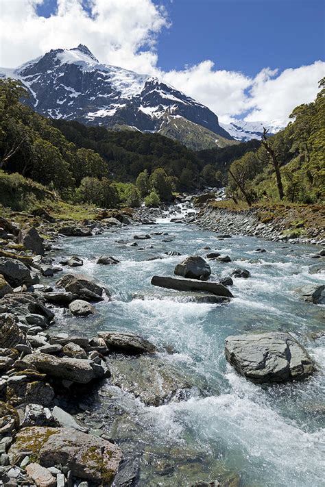 New Zealand Spring Photograph by Alexey Stiop - Fine Art America