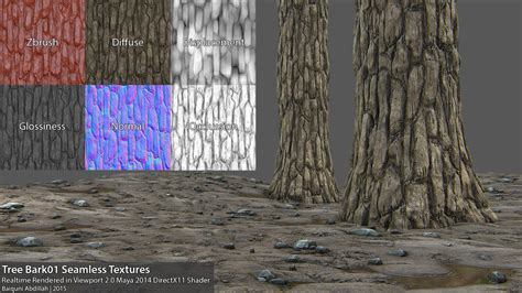 Tree Texture Seamless