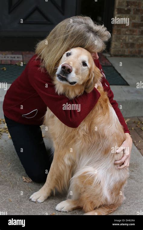 A woman hugging an old Golden Retriever dog Stock Photo - Alamy