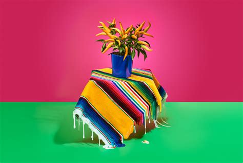 Mexican Pink on Behance